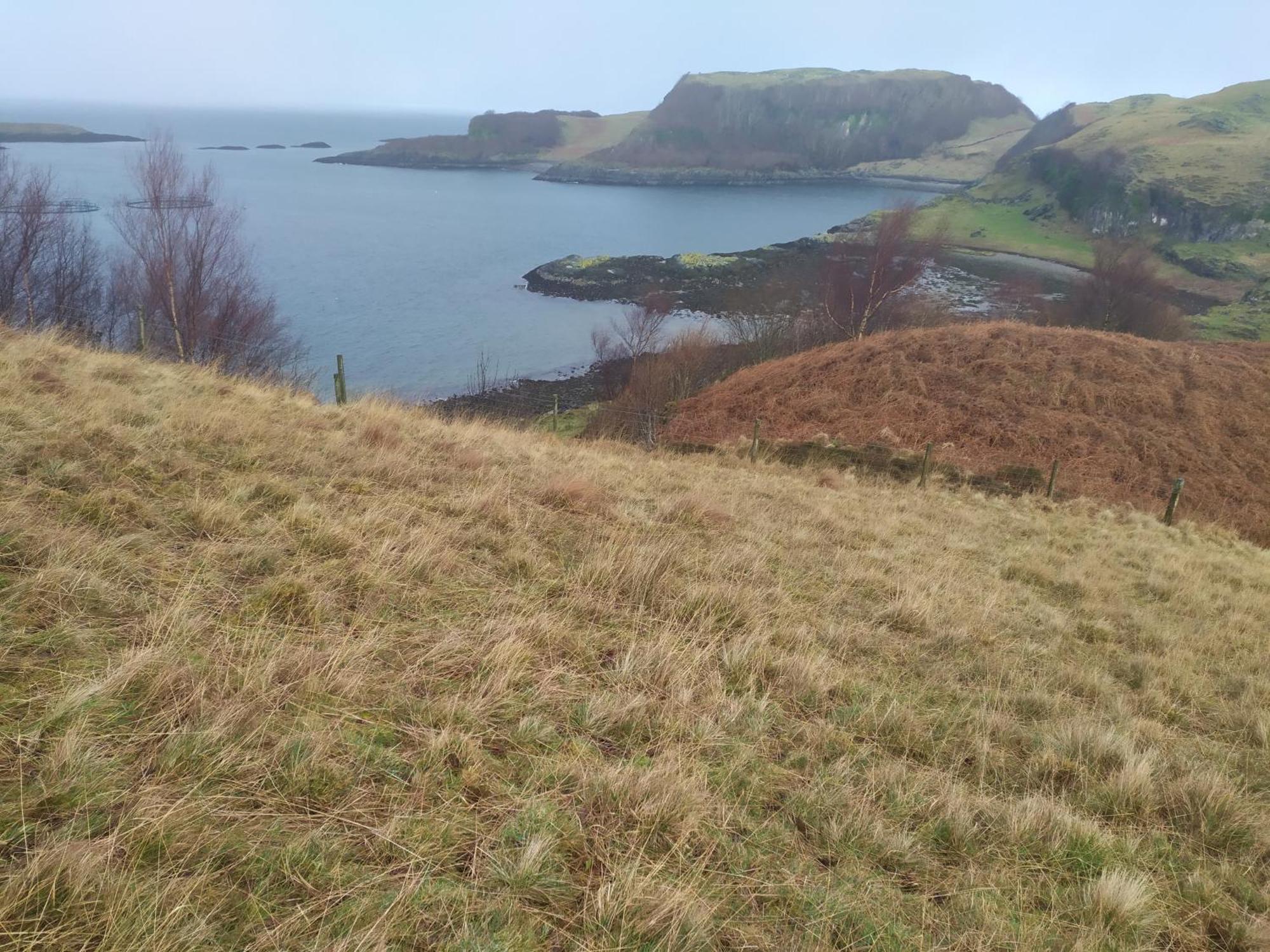 Ballimackillichan Croft Isle of Lismore Exteriör bild